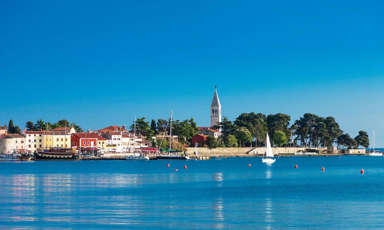 Apt Gioan Novigrad, 500M To Sea, Private Heated Jacuzzi, Bbq, Private Parking Novigrad  Exterior photo